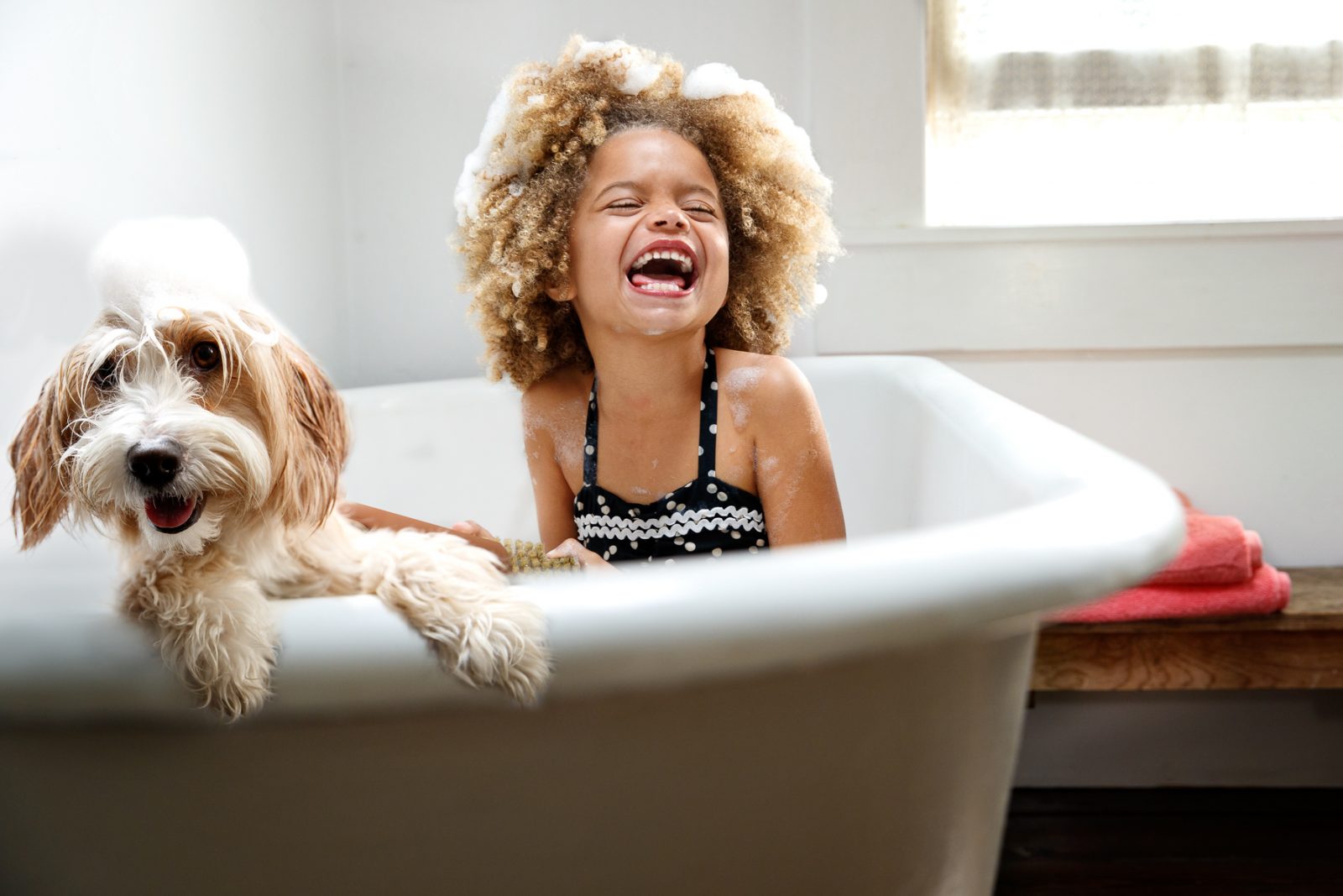 Entre tantos mitos, a verdade é que todos querem uma banheira de hidromassagem! Acesse para saber mitos e verdade sobre banheiras!